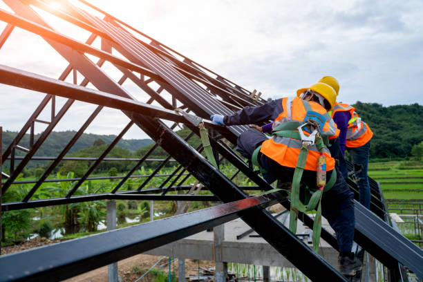 Best Roof Gutter Cleaning  in Woodbranch, TX